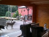 27092011027.jpg