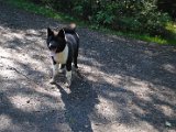 DSC_0059.JPG