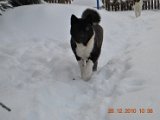 DSC_0081.JPG
