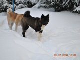DSC_0088.JPG