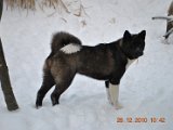DSC_0118.JPG