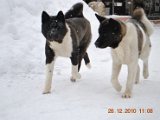 DSC_0152.JPG