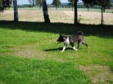 DSC_0157.JPG