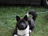 DSC_0253.JPG