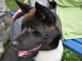 DSC_0386.JPG
