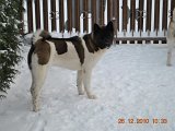 DSC_0026.JPG