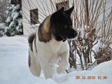 DSC_0055.JPG