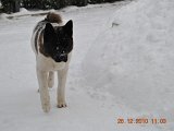 DSC_0121.JPG