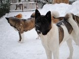 DSC_0165.JPG