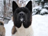 DSC_0175.JPG