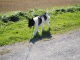 DSC_0501.JPG
