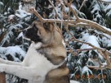 DSC_0039.JPG