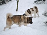 DSC_0065.JPG