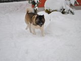 DSC_0117.JPG