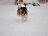 DSC_0118.JPG