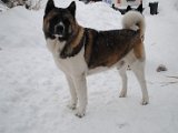 DSC_0253.JPG