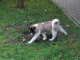 IMG_0287.JPG