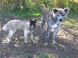 IMG_0291.JPG
