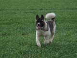 IMG_0345.JPG