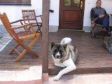 IMG_0514.JPG