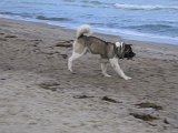 IMG_0677.JPG
