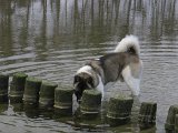 IMG_0685.JPG