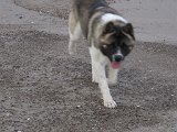 IMG_0686.JPG