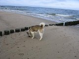 IMG_0688.JPG