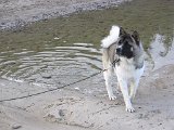 IMG_0691.JPG
