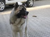 IMG_1194.JPG