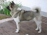IMG_1198.JPG