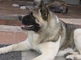 IMG_1208.JPG