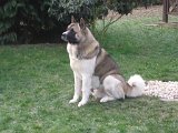 IMG_1260.JPG