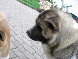 IMG_1462.JPG