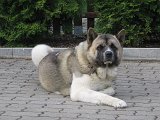 IMG_1470.JPG