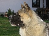 IMG_1616.JPG