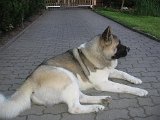 IMG_1622.JPG