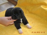 2009_10_05 107.jpg