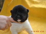 2009_10_05 041.jpg