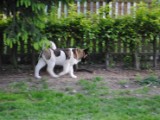 2010_05_24 471.jpg