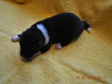 2009_10_05 021.jpg