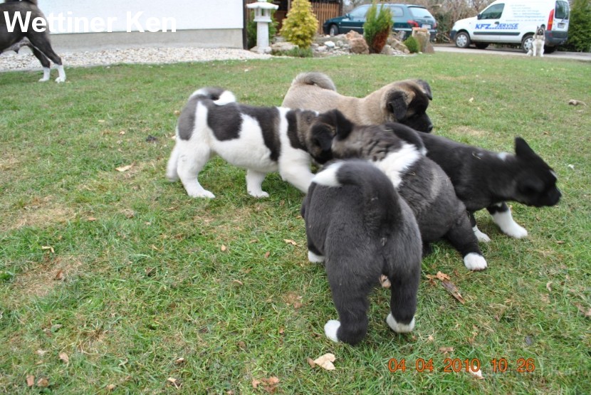 2010_04_04 095