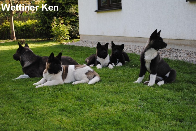 2010_05_24 377