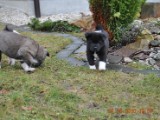 2010_03_21 289.jpg