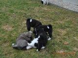 2010_03_21 327.jpg