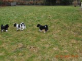 2010_03_21 334.jpg