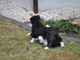 2010_03_21 340.jpg