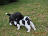 2010_03_21 347.jpg