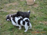 2010_03_21 358.jpg