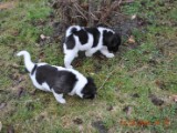 2010_03_21 406.jpg